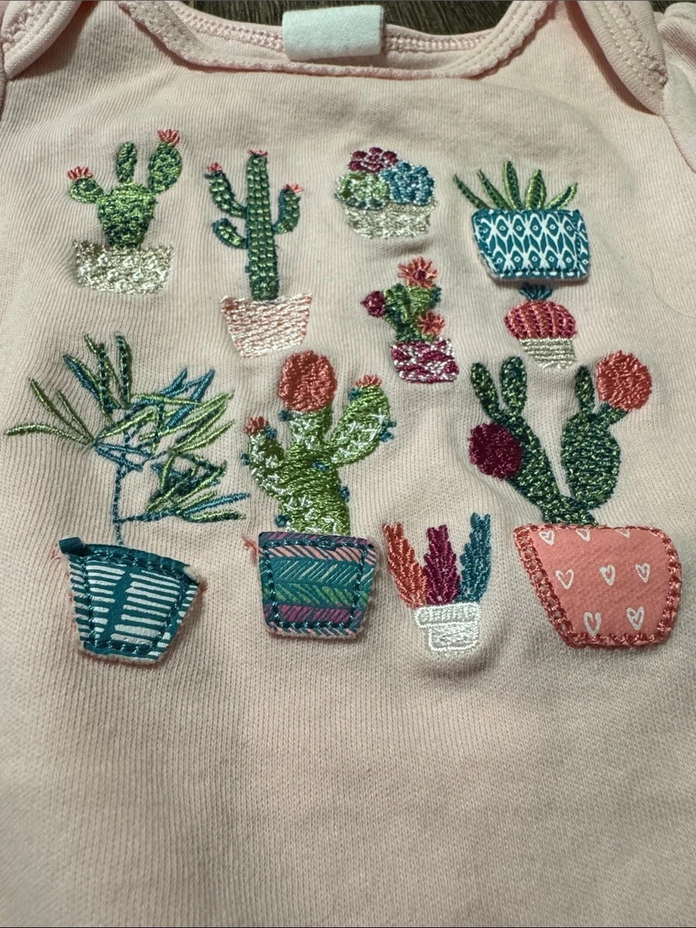 Starting Out Baby Girl Long Sleeve Cactus Bodysuit 3M | Embroidered Onesie
